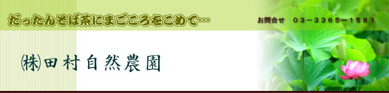 ヘッダーイメージ
